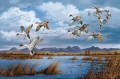 migración de ánades reales en aves de otoño
